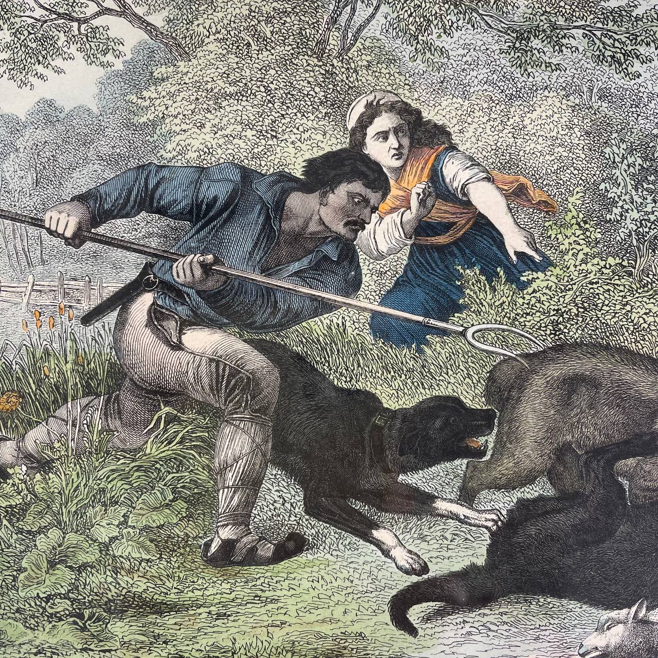 Антикварный эстамп «Нападение волка на овцу»