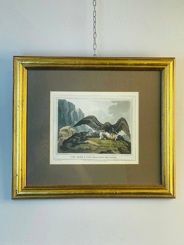 Винтажная гравюра