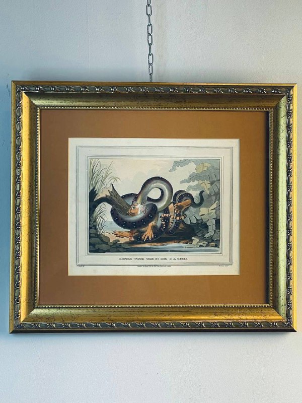 Антикварная гравюра